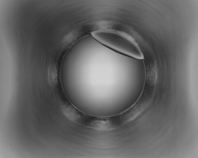 X0000113090552200908281245