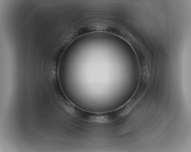 X0000113090553200908281245