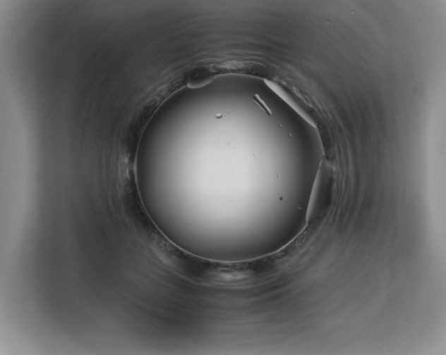 X0000113090555200908281245
