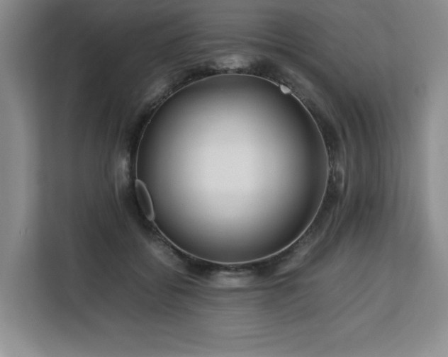 X0000113090556200908281245
