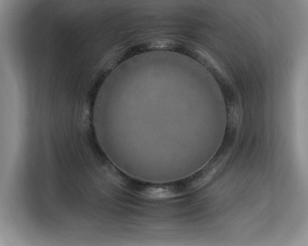 X0000113090557200908281245