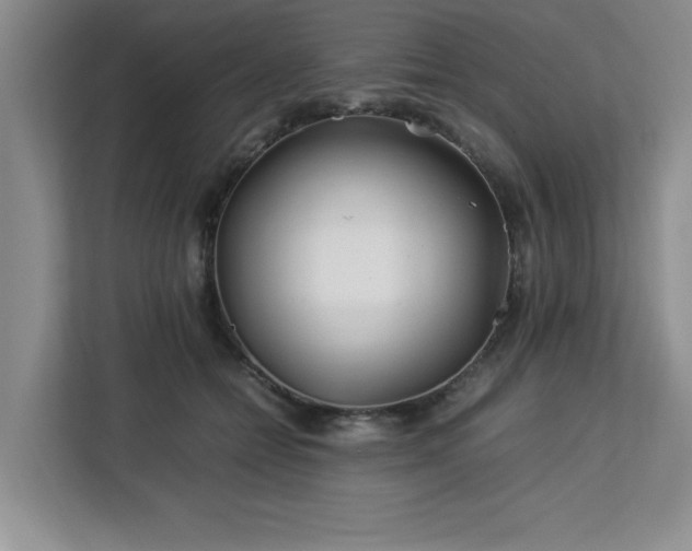 X0000113090558200908281245