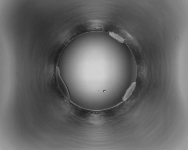 X0000113090560200908281245