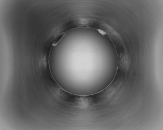 X0000113090562200908281245