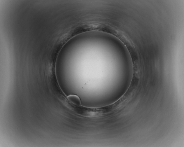 X0000113090563200908281245