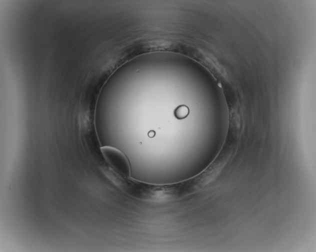 X0000113090564200908281246