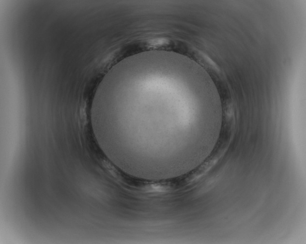 X0000113090565200908281246