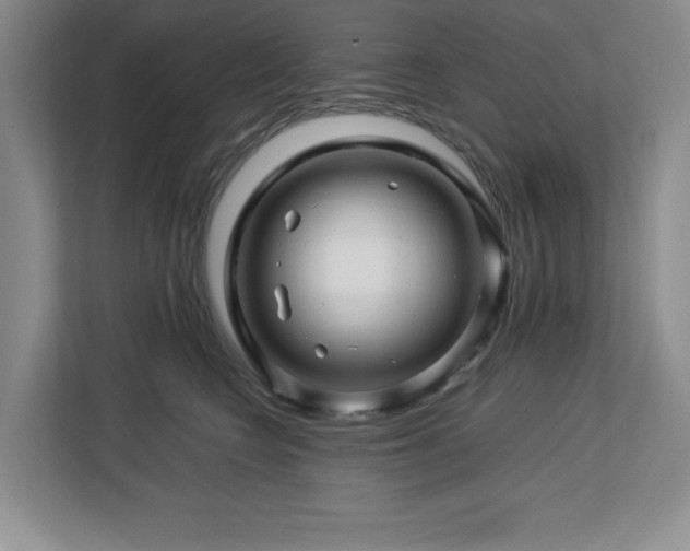 X0000113090566200908281246