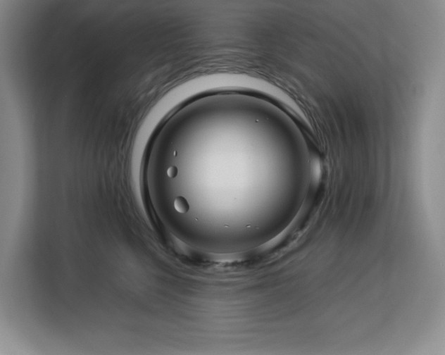 X0000113090568200908281246