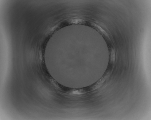 X0000113090569200908281246
