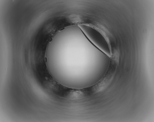 X0000113090572200908281246