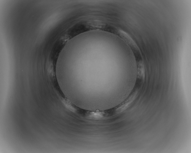 X0000113090573200908281246