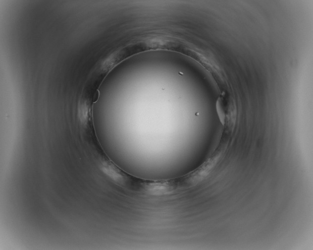 X0000113090574200908281246