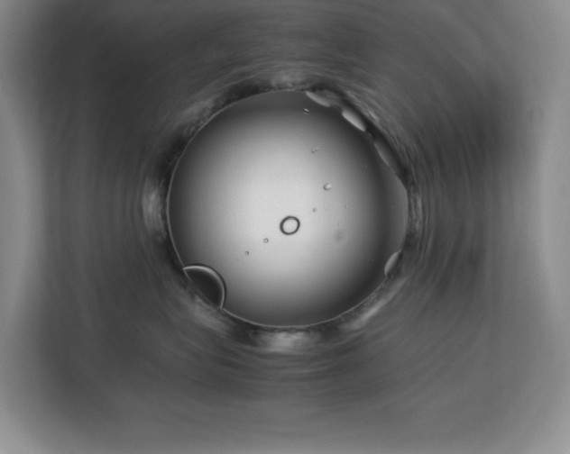 X0000113090575200908281246
