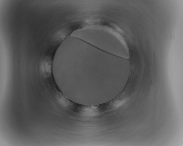 X0000113090576200908281246
