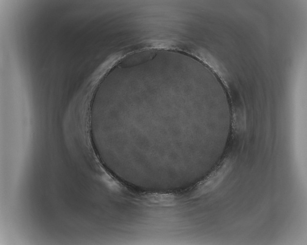 X0000113090577200908281245