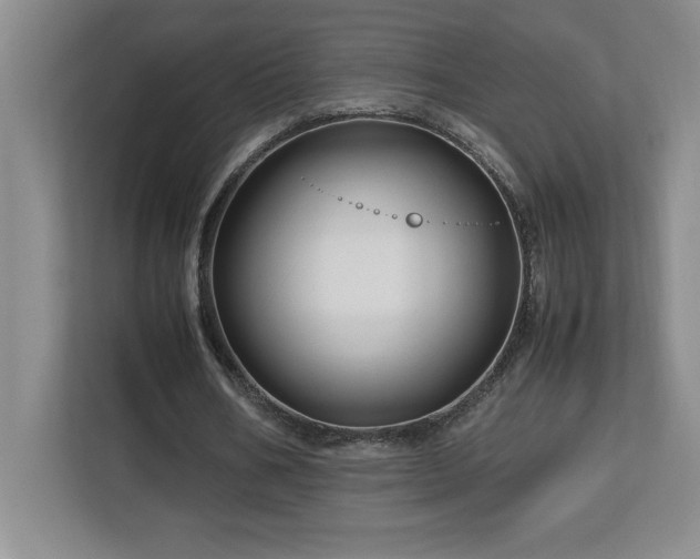 X0000113090578200908281245