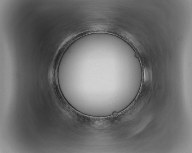 X0000113090579200908281245