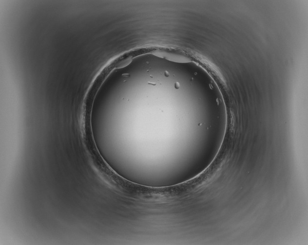 X0000113090580200908281245
