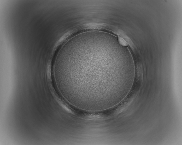 X0000113090581200908281245
