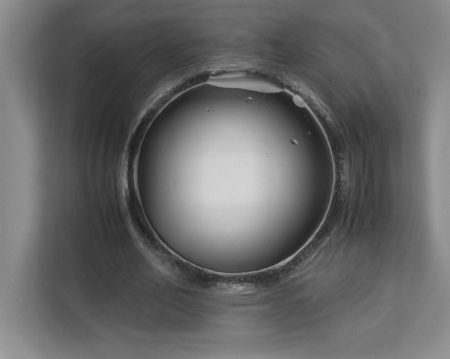 X0000113090582200908281245