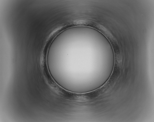 X0000113090583200908281245