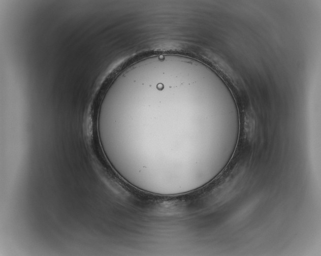 X0000113090584200908281245