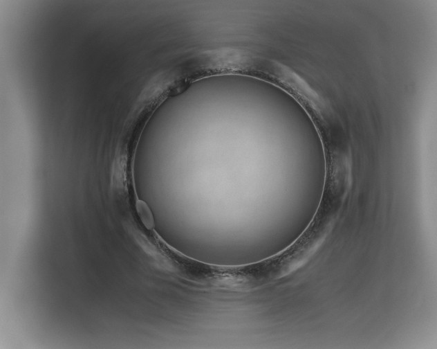 X0000113090585200908281245