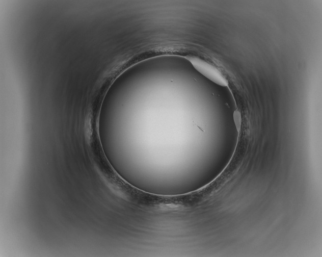 X0000113090586200908281245