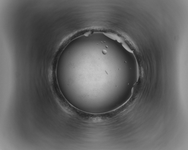 X0000113090588200908281245