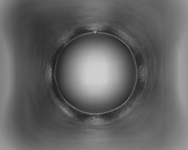 X0000113090589200908281245