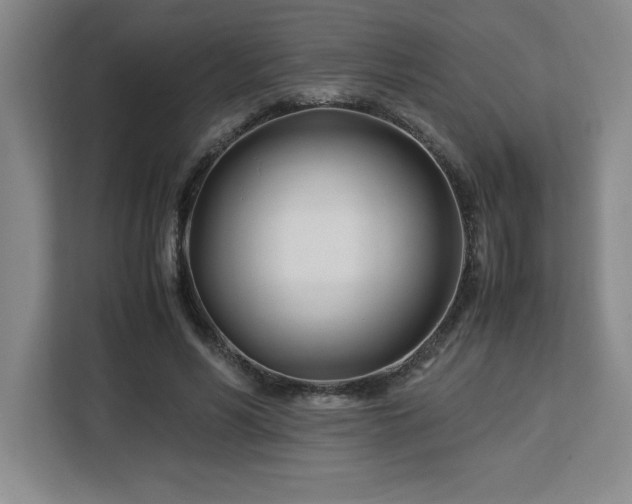 X0000113090590200908281245