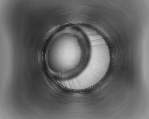X0000113090592200908281245