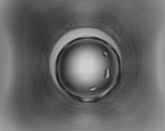 X0000113090593200908281245