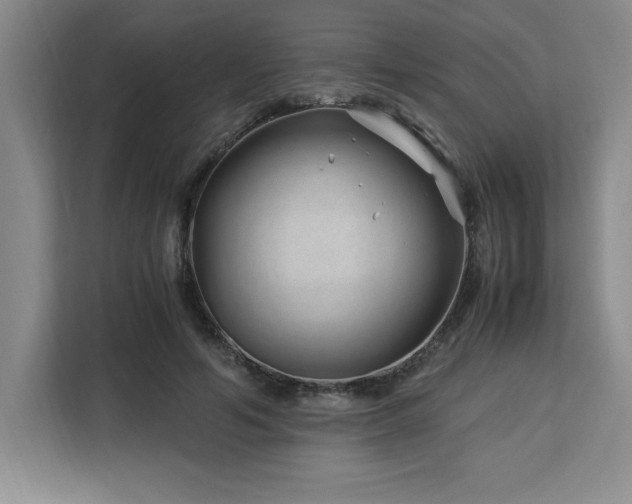 X0000113090594200908281245