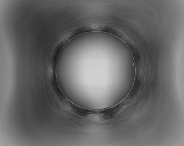 X0000113090595200908281245