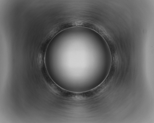 X0000113090598200908281245