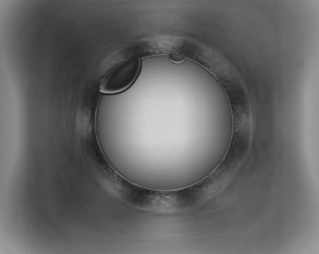 X0000113090599200908281245