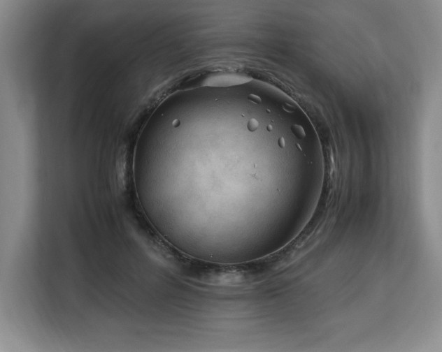 X0000113090600200908281245