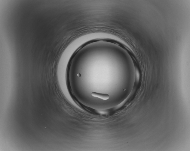 X0000113090601200908281245