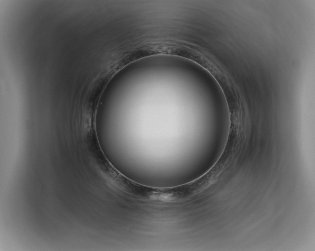 X0000113090602200908281245