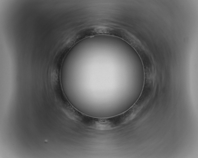 X0000113090603200908281245