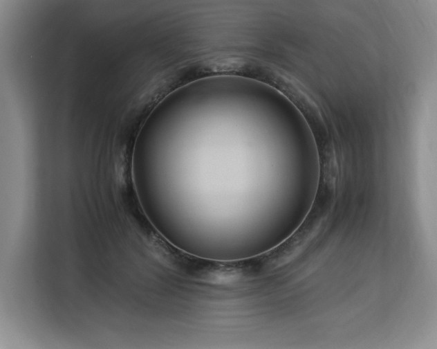 X0000113090604200908281245