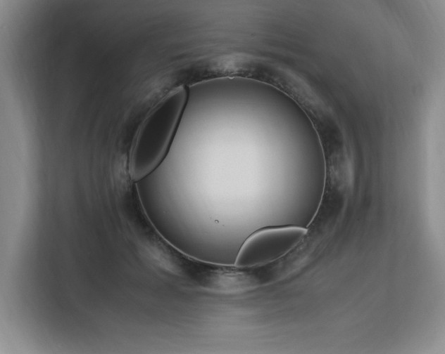 X0000113090605200908281245