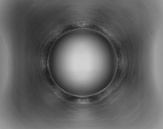 X0000113090606200908281245