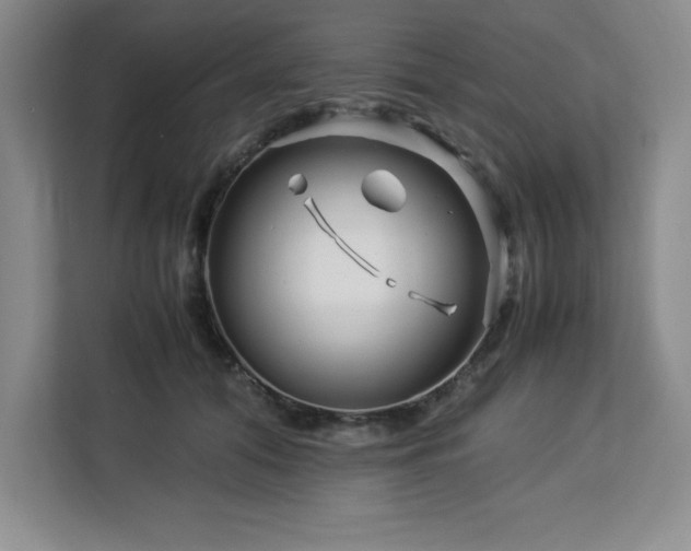 X0000113090608200908281245