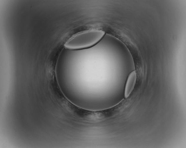 X0000113090609200908281245