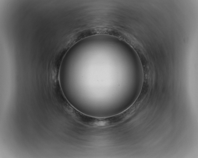 X0000113090610200908281245