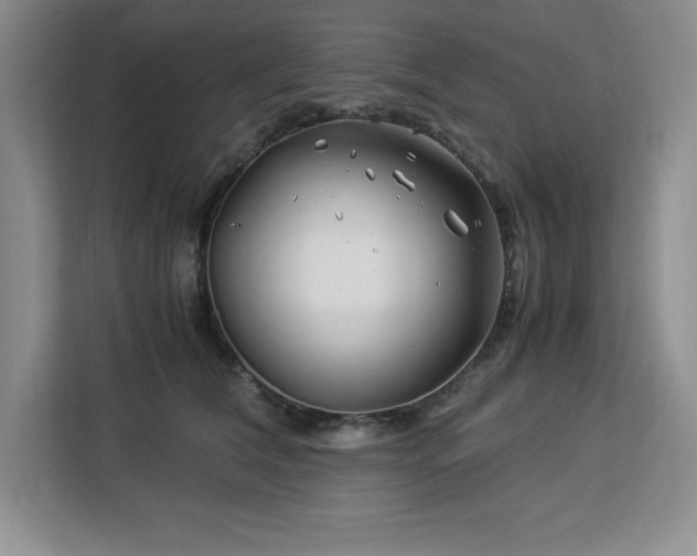 X0000113090612200908281245