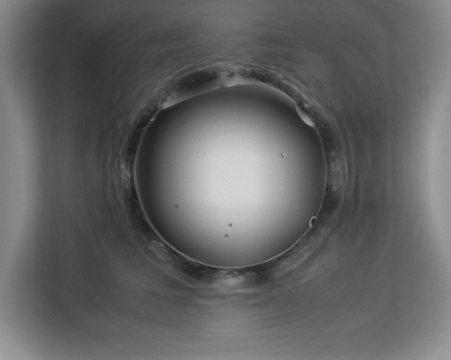 X0000113090613200908281245